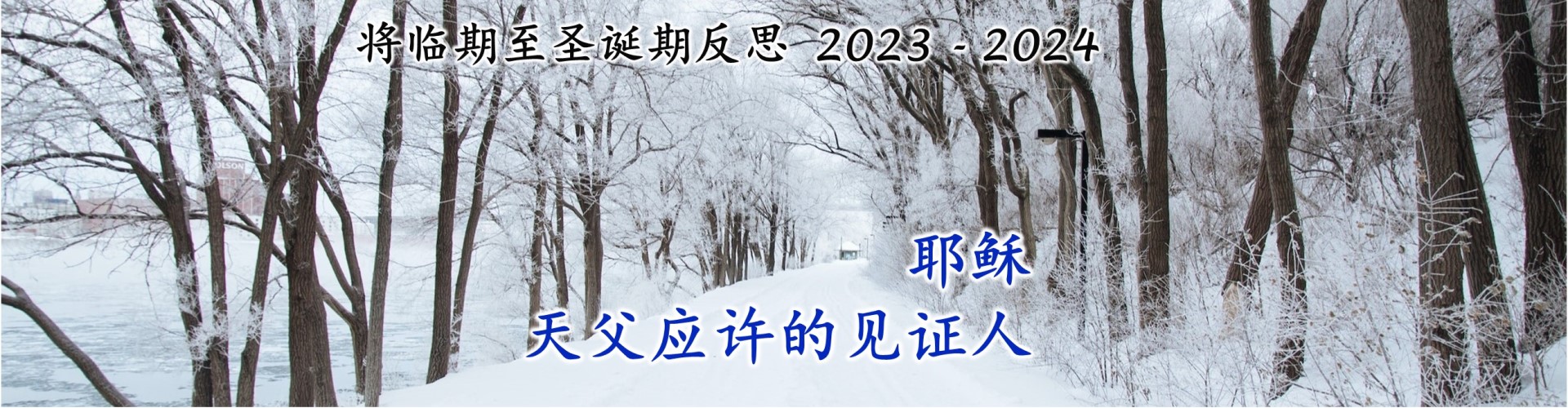 2023_24_advent_-_christmas_home_ani.jpg