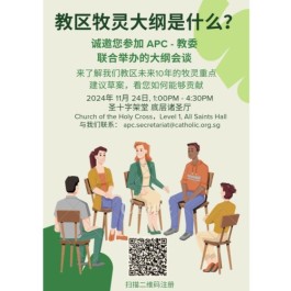 总教区牧灵大纲(Schema)会谈 